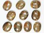 Lot: Polished Tiger's Eye Palm Stones - South Africa #115961-1